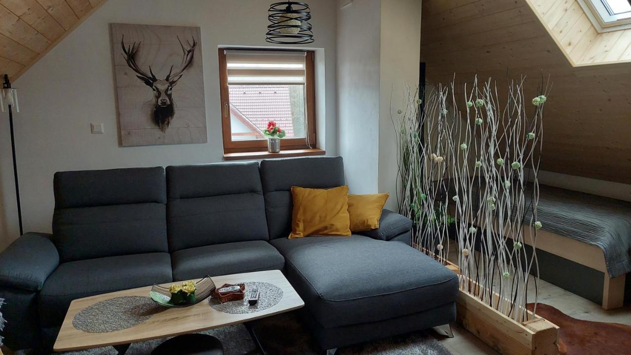 Apartman Pod Smrcinou Vaclavov u Bruntalu Eksteriør bilde